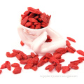 Dried Organic Goji Berries (350grains/50g)